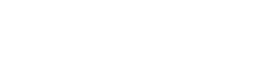 Portfolio Logo